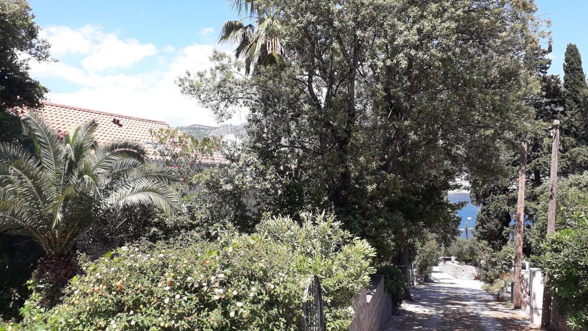 Apartments Marija - 50M From Beach 자톤 외부 사진